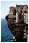 040815---bonifacio-2-lg.gif (247258 octets)