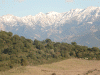 avue-terrasse3.gif (310323 octets)