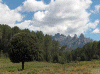 bavella.gif (297819 octets)