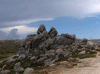 coscione.gif (296829 octets)